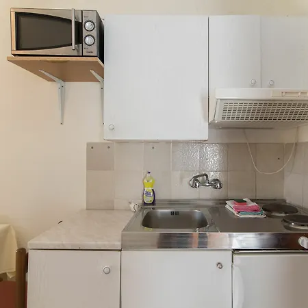 Fidelis טרוגיר