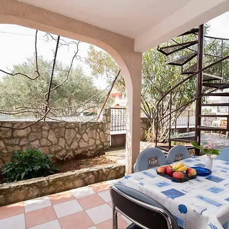 Fidelis * טרוגיר